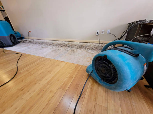 Professional Burst Pipe Water Damage technician working in Page, ND
