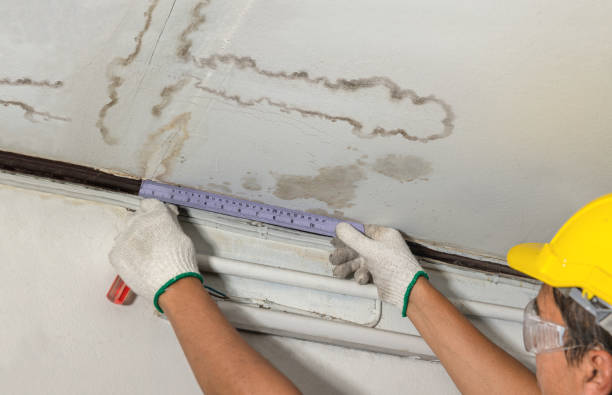 Affordable Burst Pipe Water Damage solutions in Page, ND